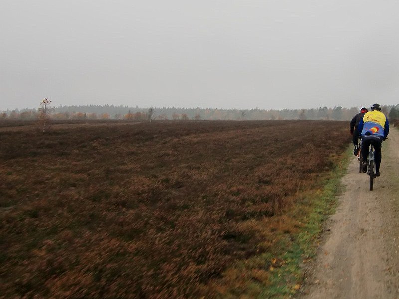 Wilseder Berg 1 2010 021